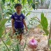 โครงการถังขยะเปียกลดโลกร้อน